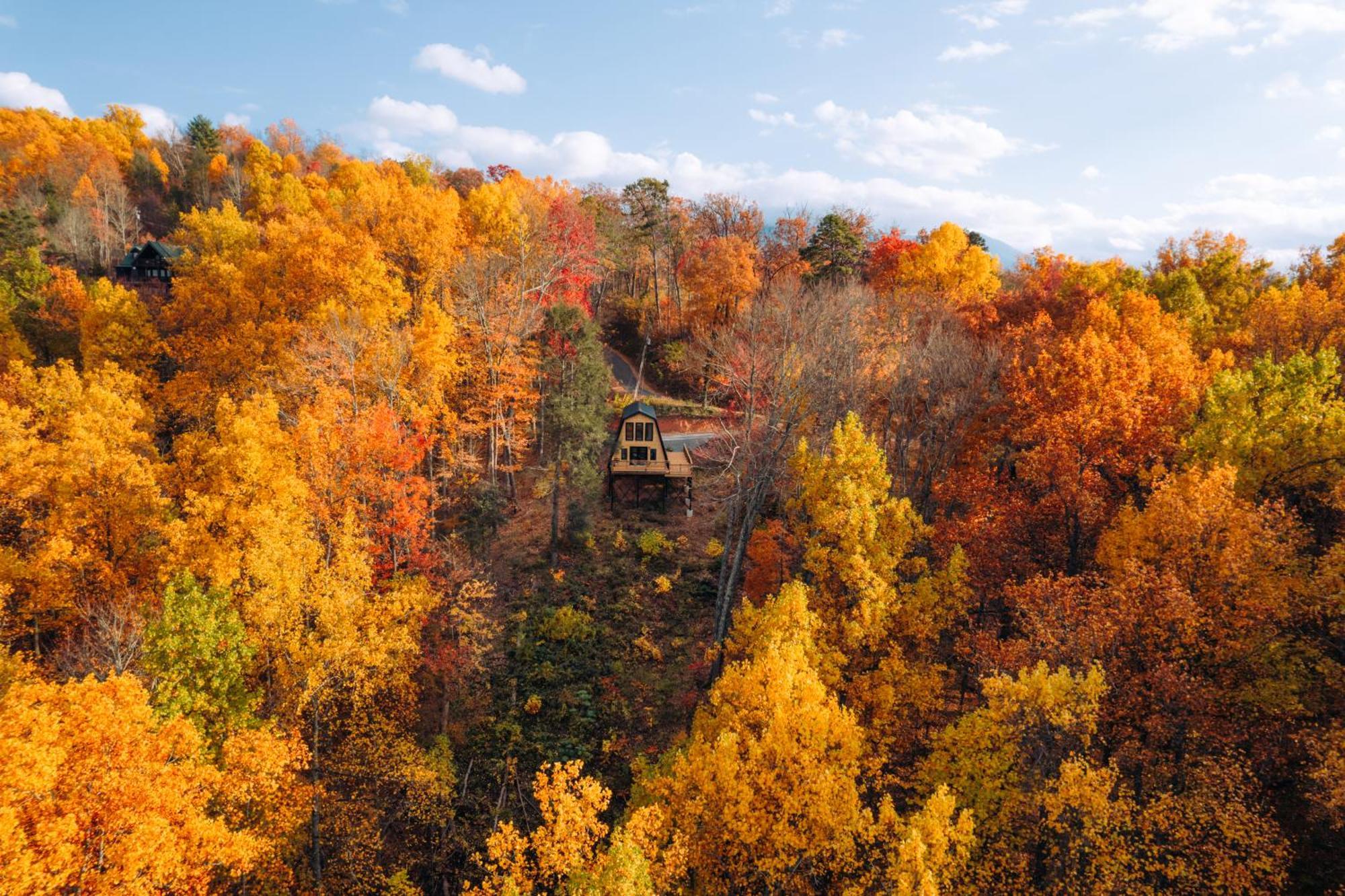 Secluded Mtn View New! 10 Mins To Gatlinburg Or Park Villa Ngoại thất bức ảnh